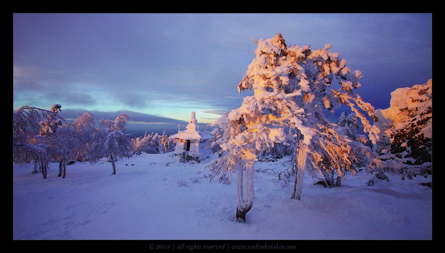 Фото жизнь