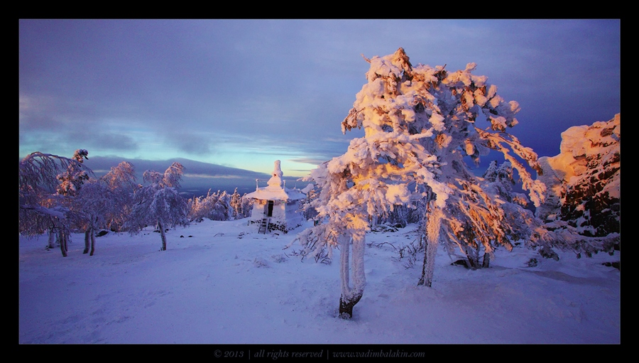 Фото жизнь