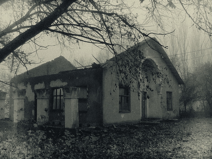 Фото жизнь