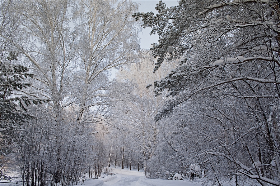 Фото жизнь