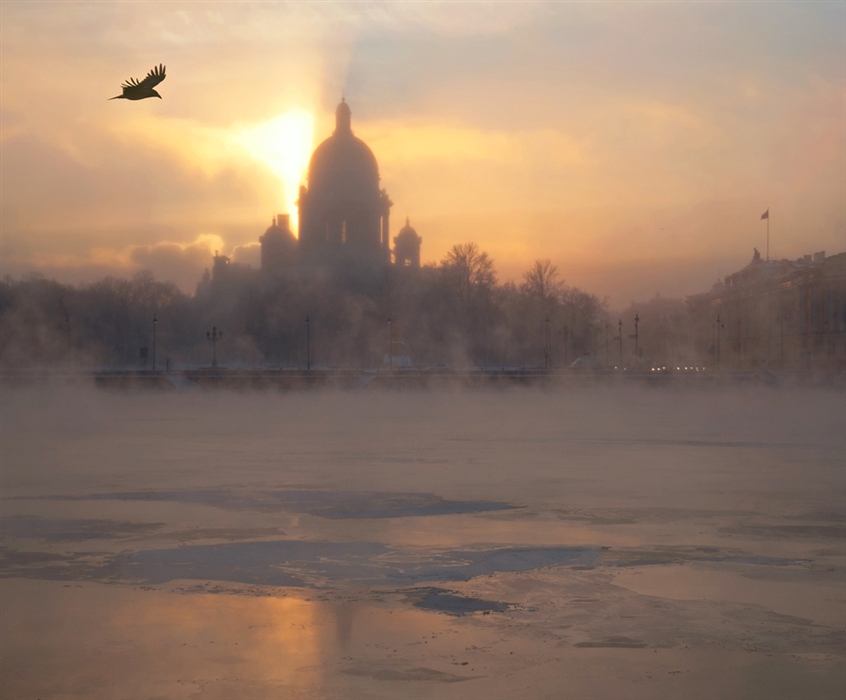Фото жизнь