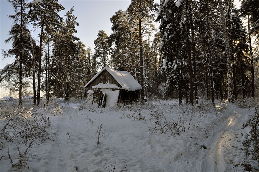 Фото жизнь