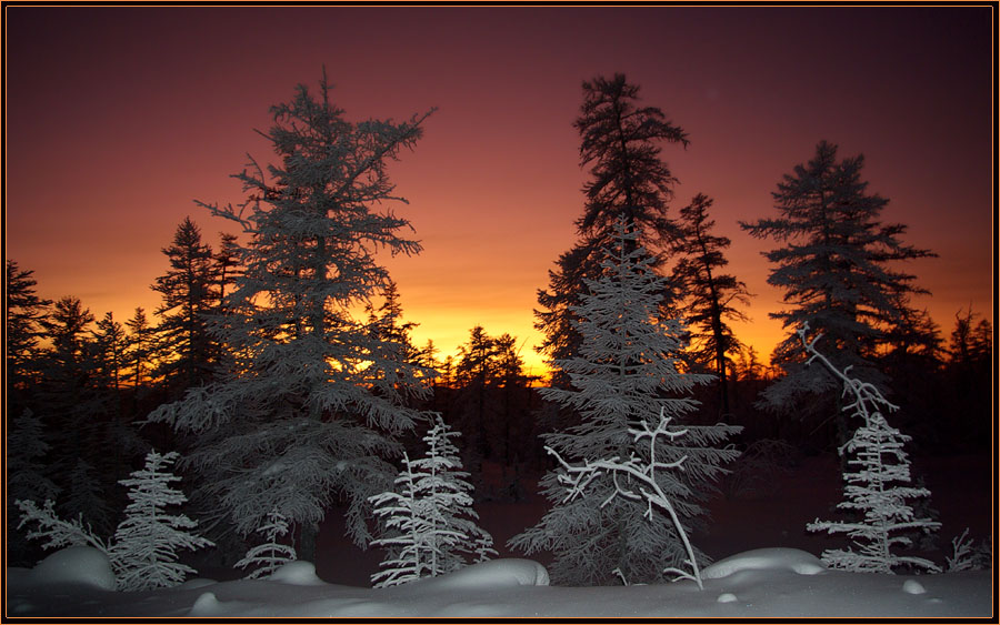 Фото жизнь - Виктор Солодухин - Сказочная зима - На закате