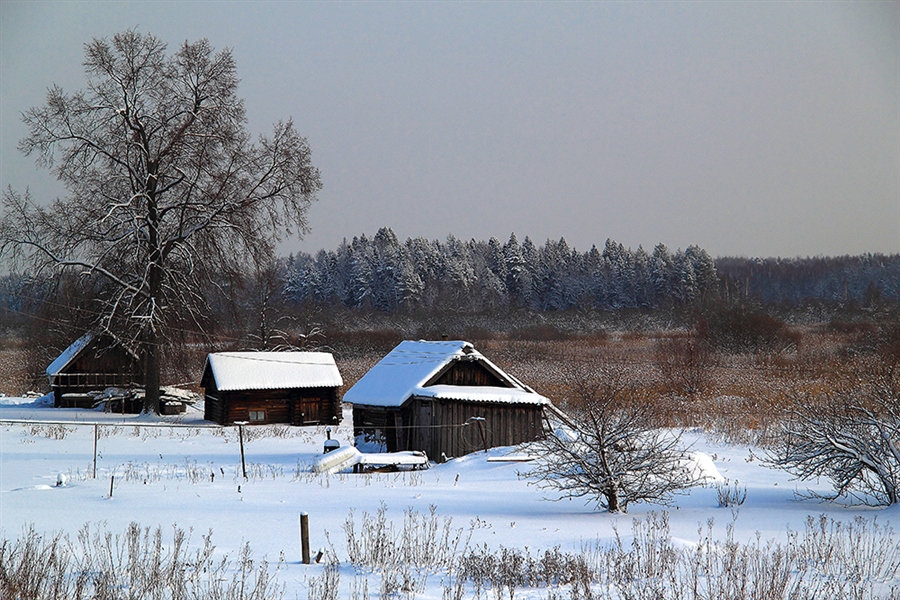 Фото жизнь
