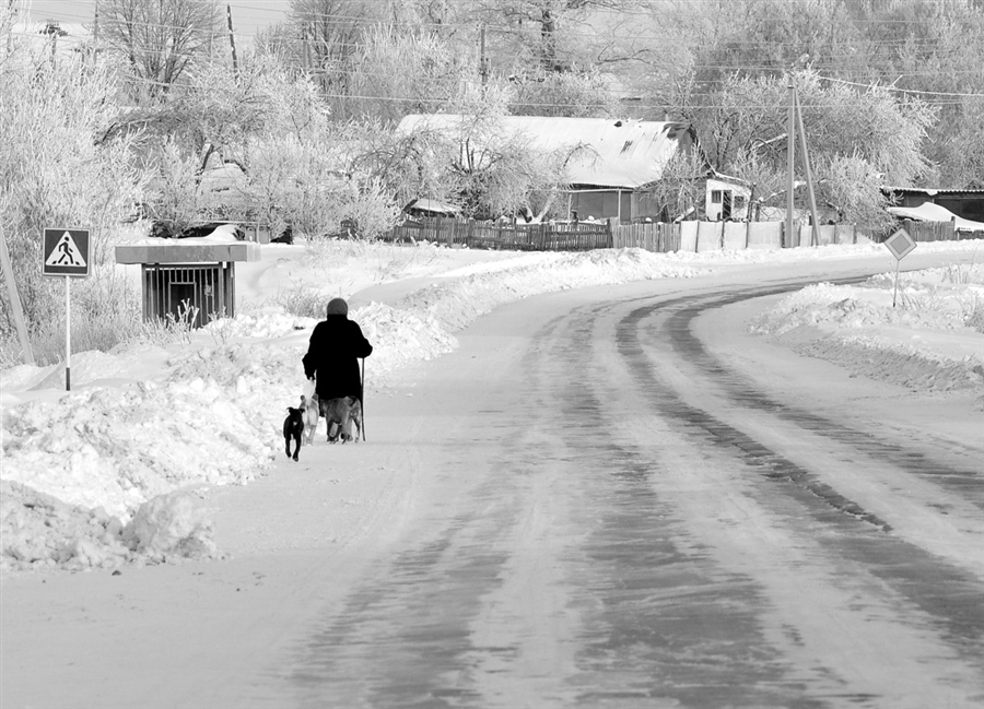 Фото жизнь