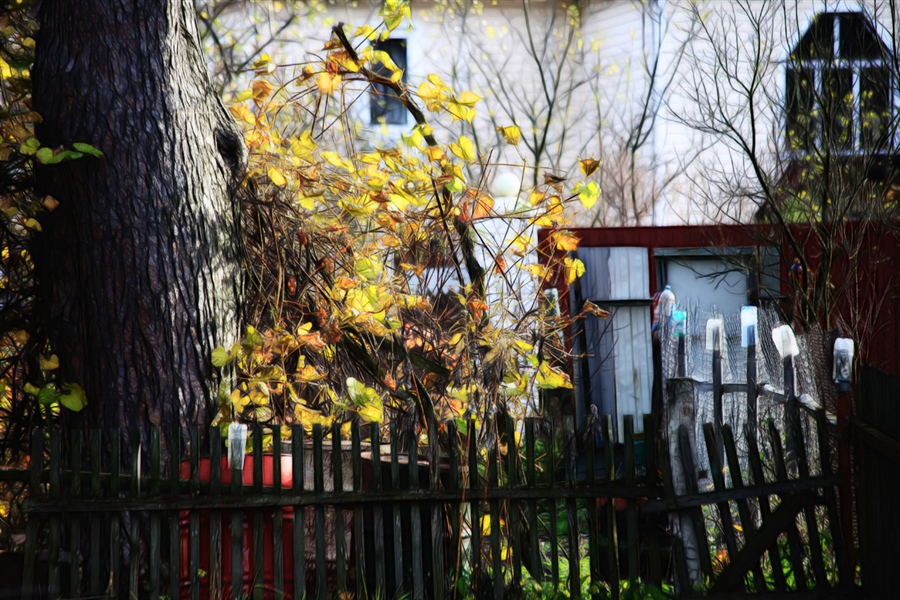 Фото жизнь