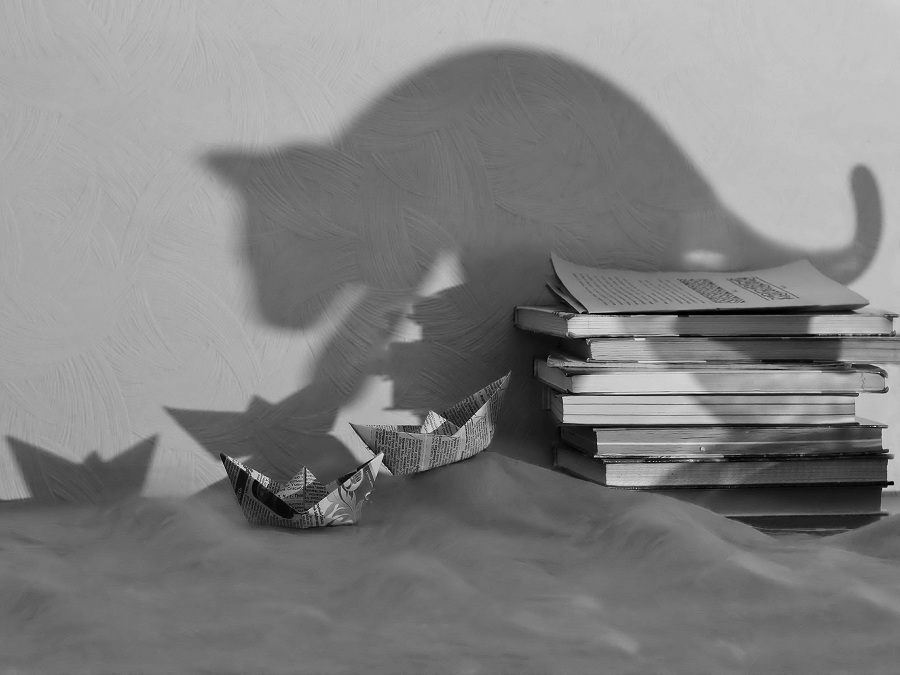 Фото жизнь (light) - Lilliya - корневой каталог - Про кота и про кораблики.... 