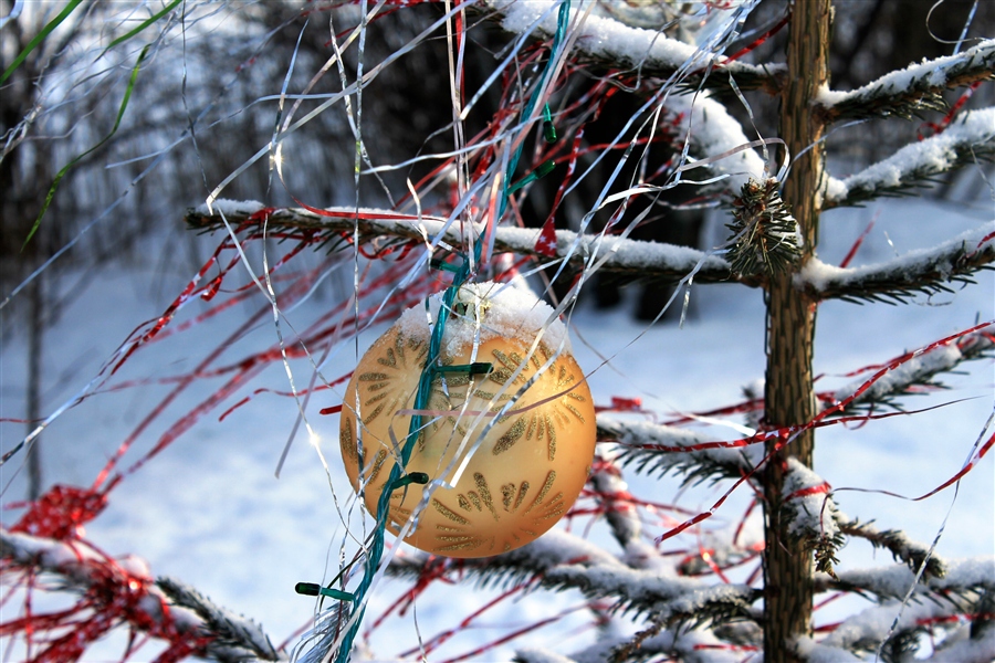 Фото жизнь