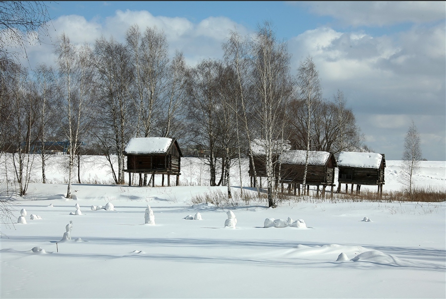 Фото жизнь