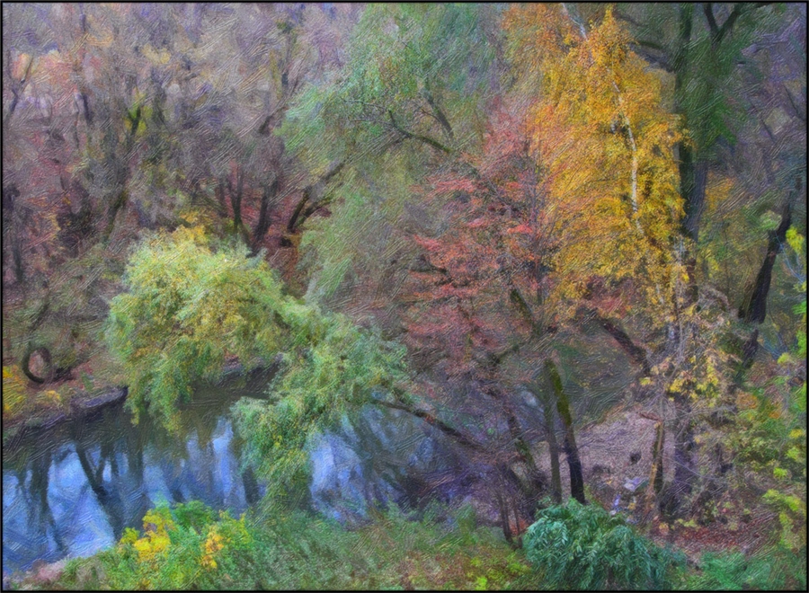 Фото жизнь