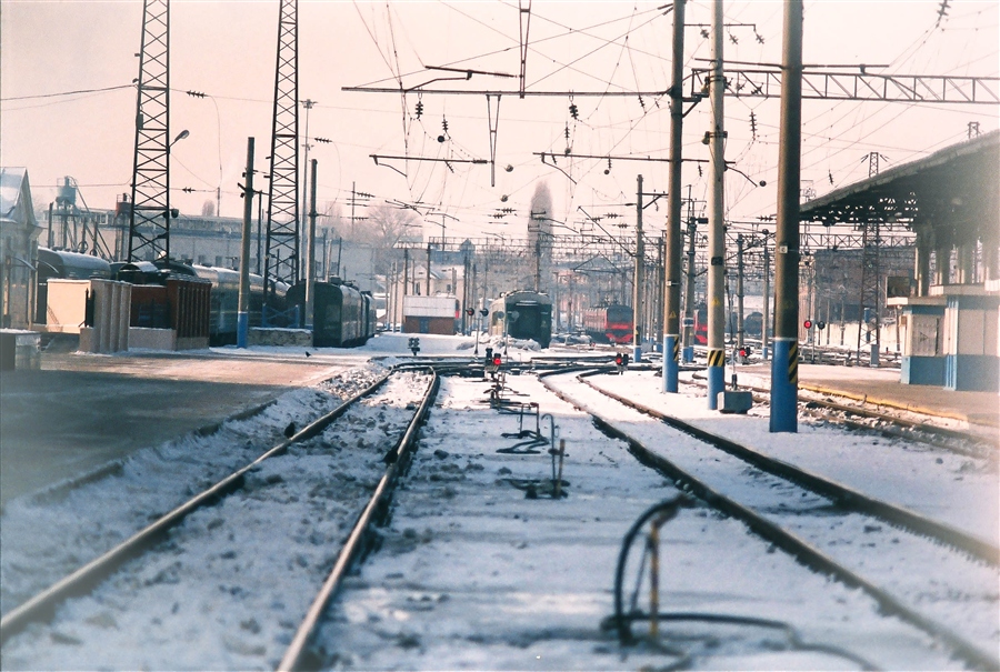 Фото жизнь