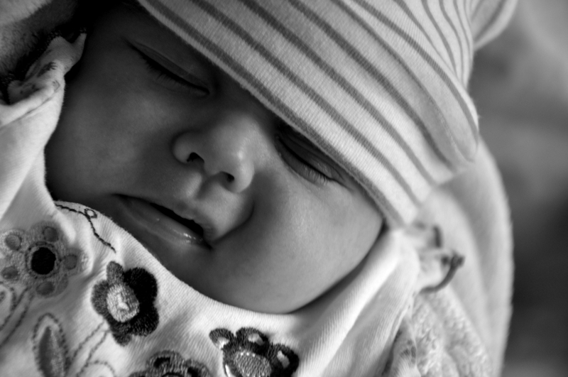 Фото жизнь (light) - Зубкова Дарья - корневой каталог - ,,,