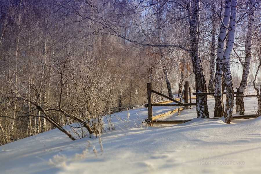 Фото жизнь