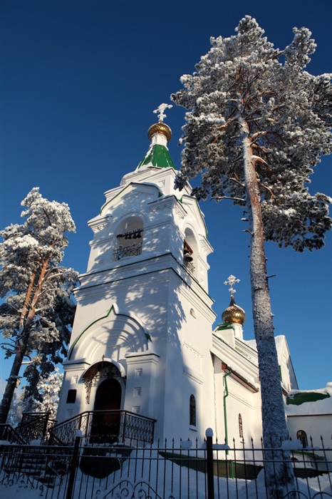 Фото жизнь