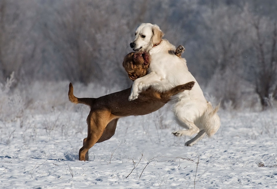 Радость встреч.