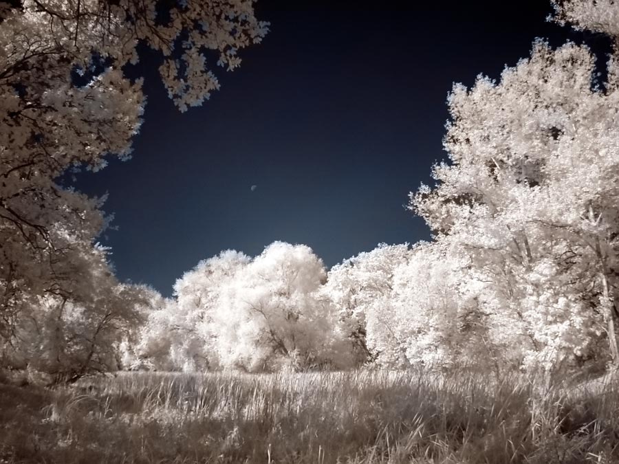 Фото жизнь - Alexandre Varyhanov - корневой каталог - Blue moon