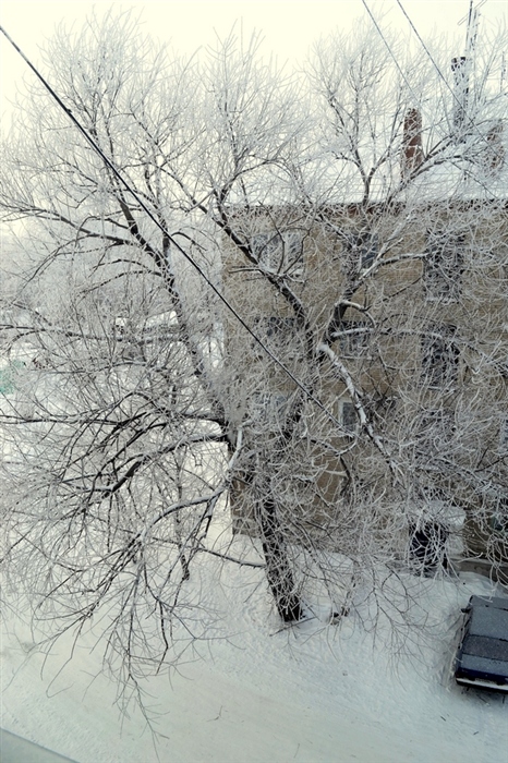Фото жизнь