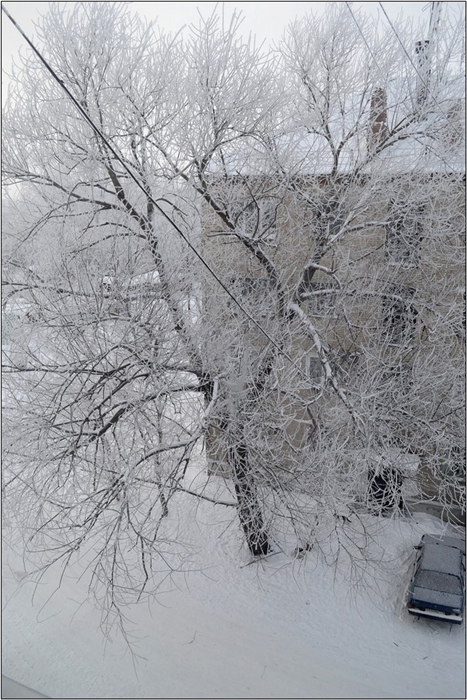 Фото жизнь