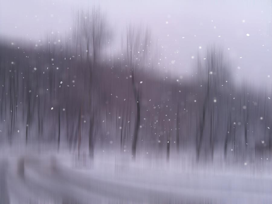 Фото жизнь (light) - Зуева Юля - корневой каталог - Снег кружится, летает и... не тает