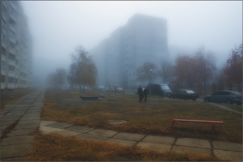 Фото жизнь - Lisovsky - Пейзажи - Два ёжика в тумане.