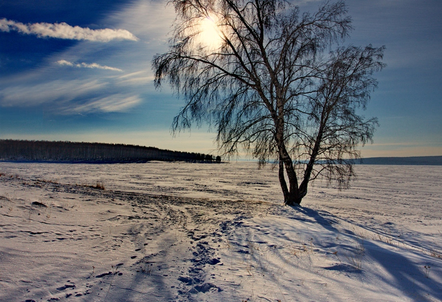 Фото жизнь