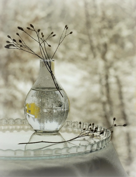 Фото жизнь (light) - Lilliya - корневой каталог - Отражения зимы... 