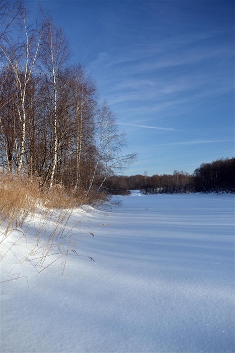 Фото жизнь