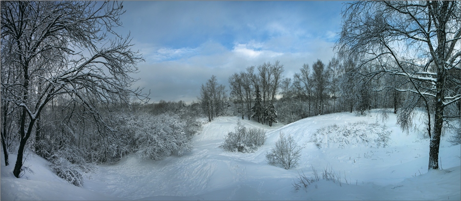 Фото жизнь