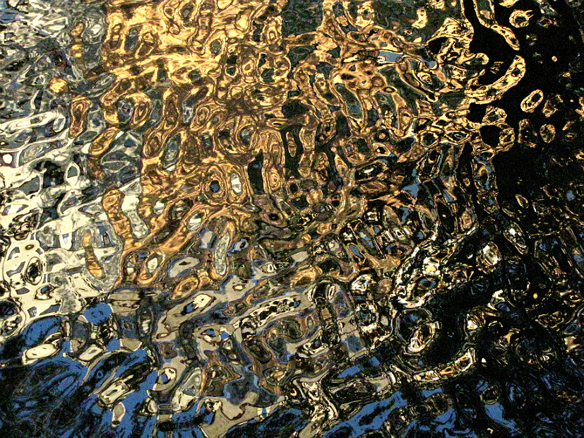 Фото жизнь (light) - dzinner - корневой каталог - акваграфика