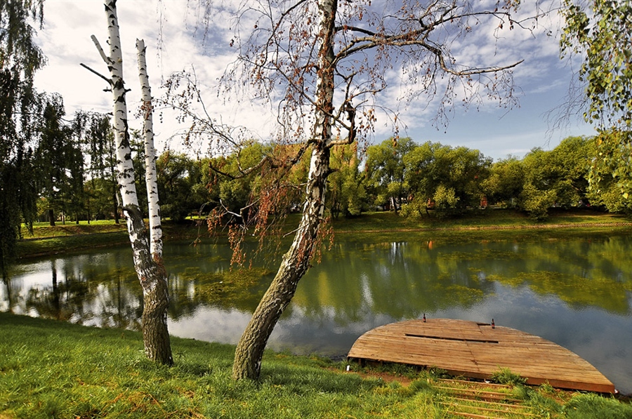 Фото жизнь