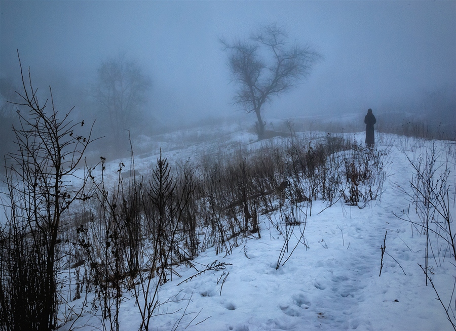 Фото жизнь