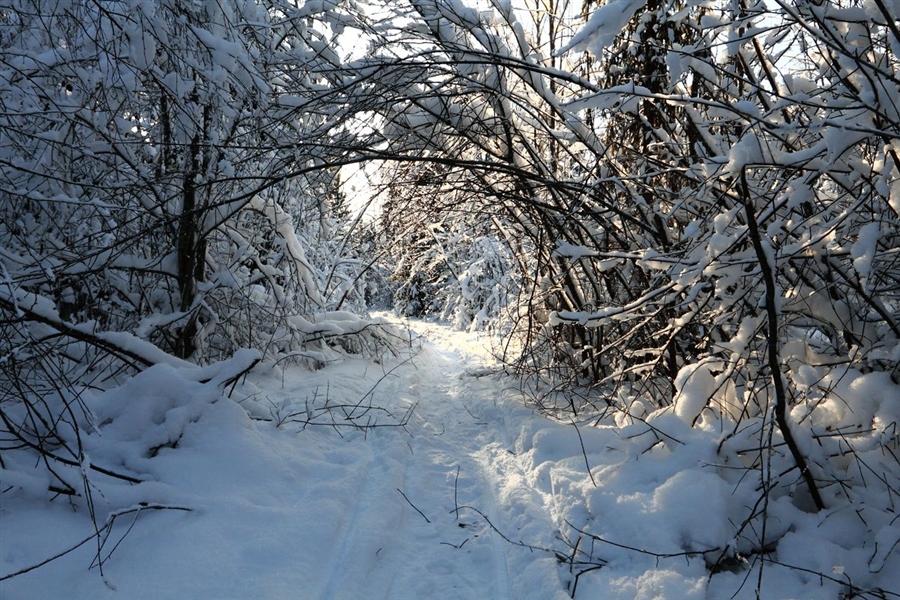 Фото жизнь