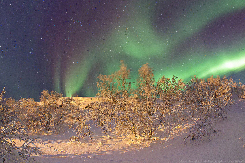 Фото жизнь (light) - Саша Меркушев - корневой каталог - Полярное сияние(Aurora Borealis)
