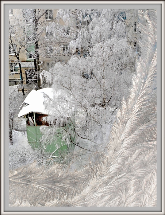 Фото жизнь