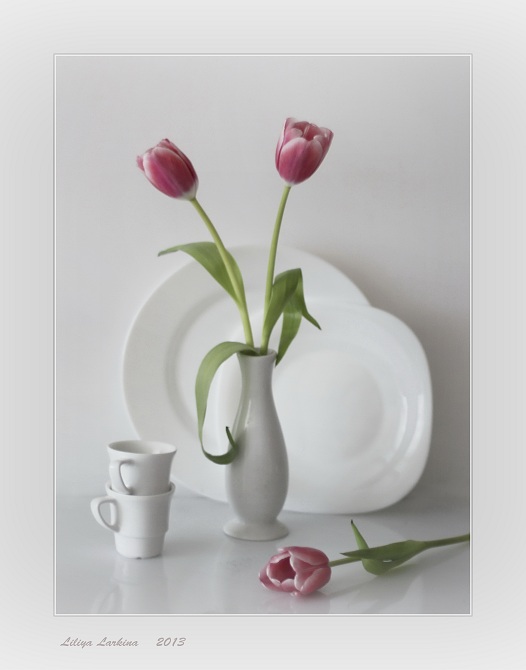 Фото жизнь (light) - Lilliya - корневой каталог - С тюльпанами...