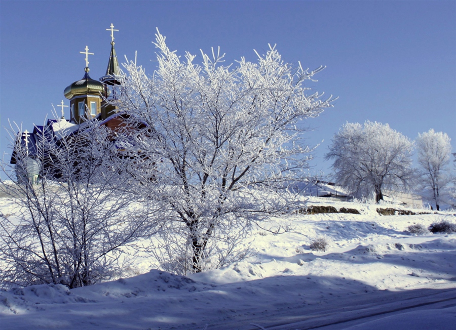 Фото жизнь