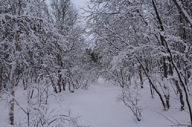 Фото жизнь