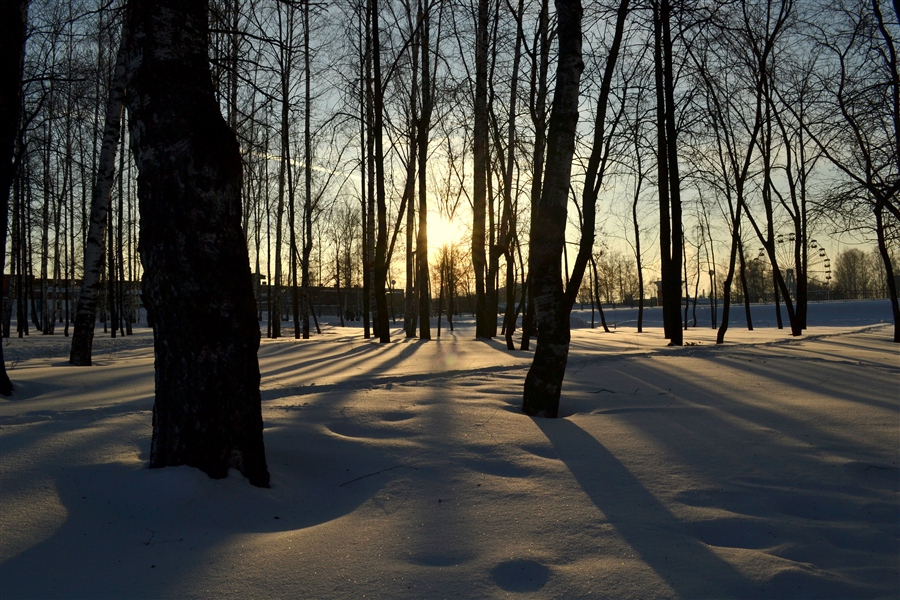 Фото жизнь