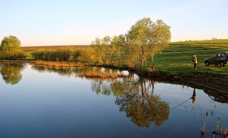 Фото жизнь