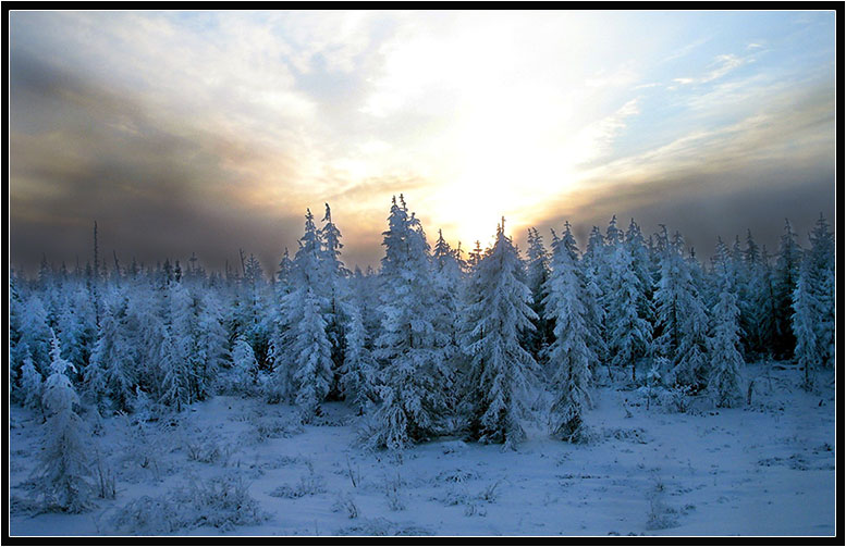 Фото жизнь