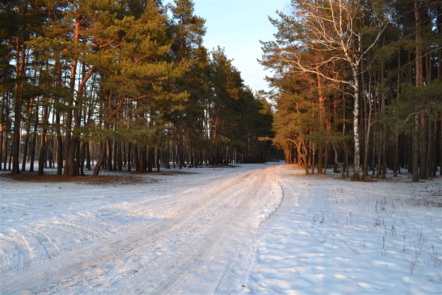 Фото жизнь