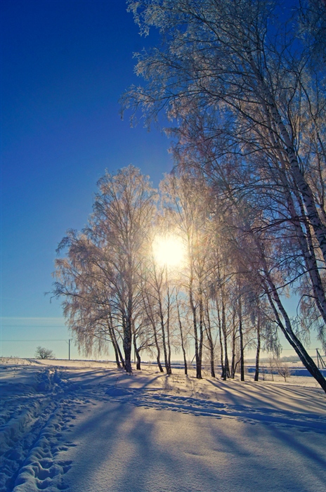 Фото жизнь