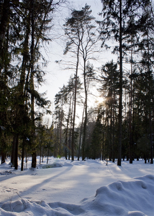 Фото жизнь