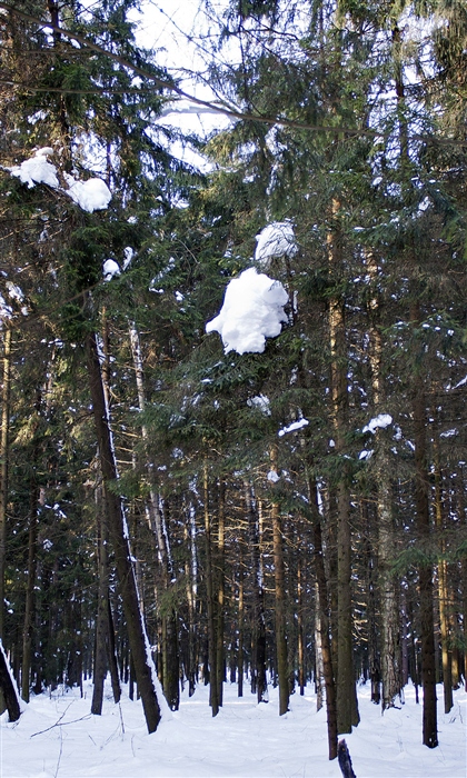Фото жизнь