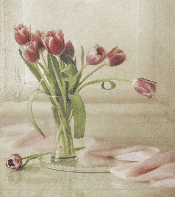 Фото жизнь (light) - Lilliya - корневой каталог - Про тюльпаны на моем окне...