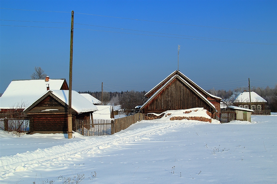 Фото жизнь