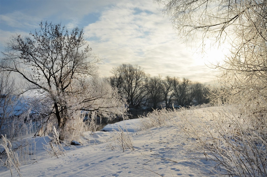 Фото жизнь