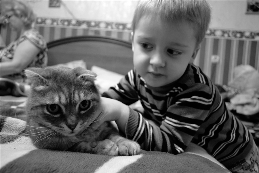 Фото жизнь