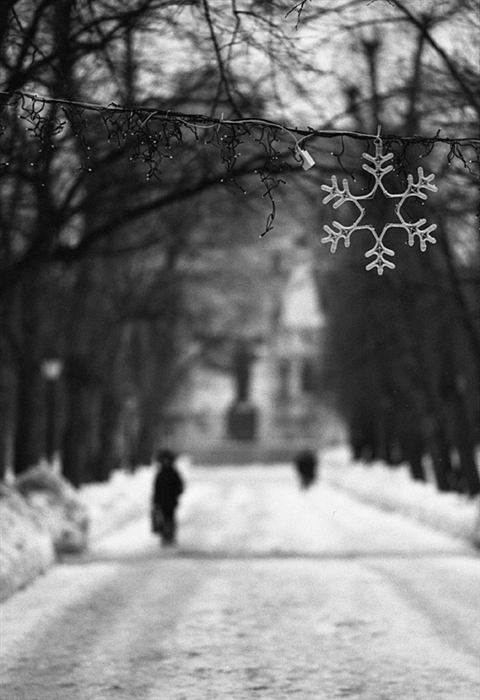 Фото жизнь (light) - Александр Клёнов - Разное - Про новогоднюю снежинку