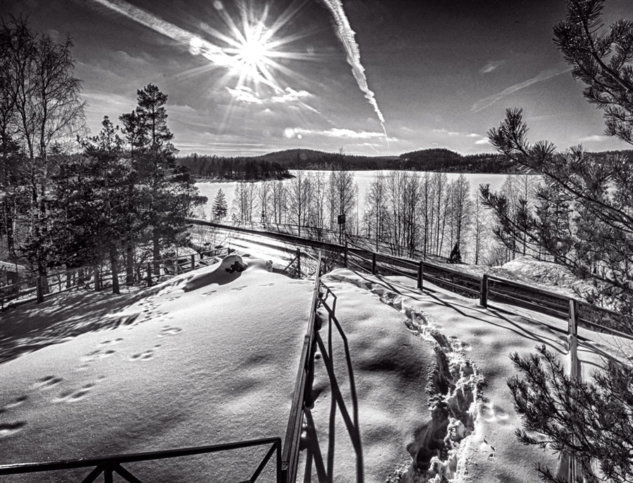 Фото жизнь